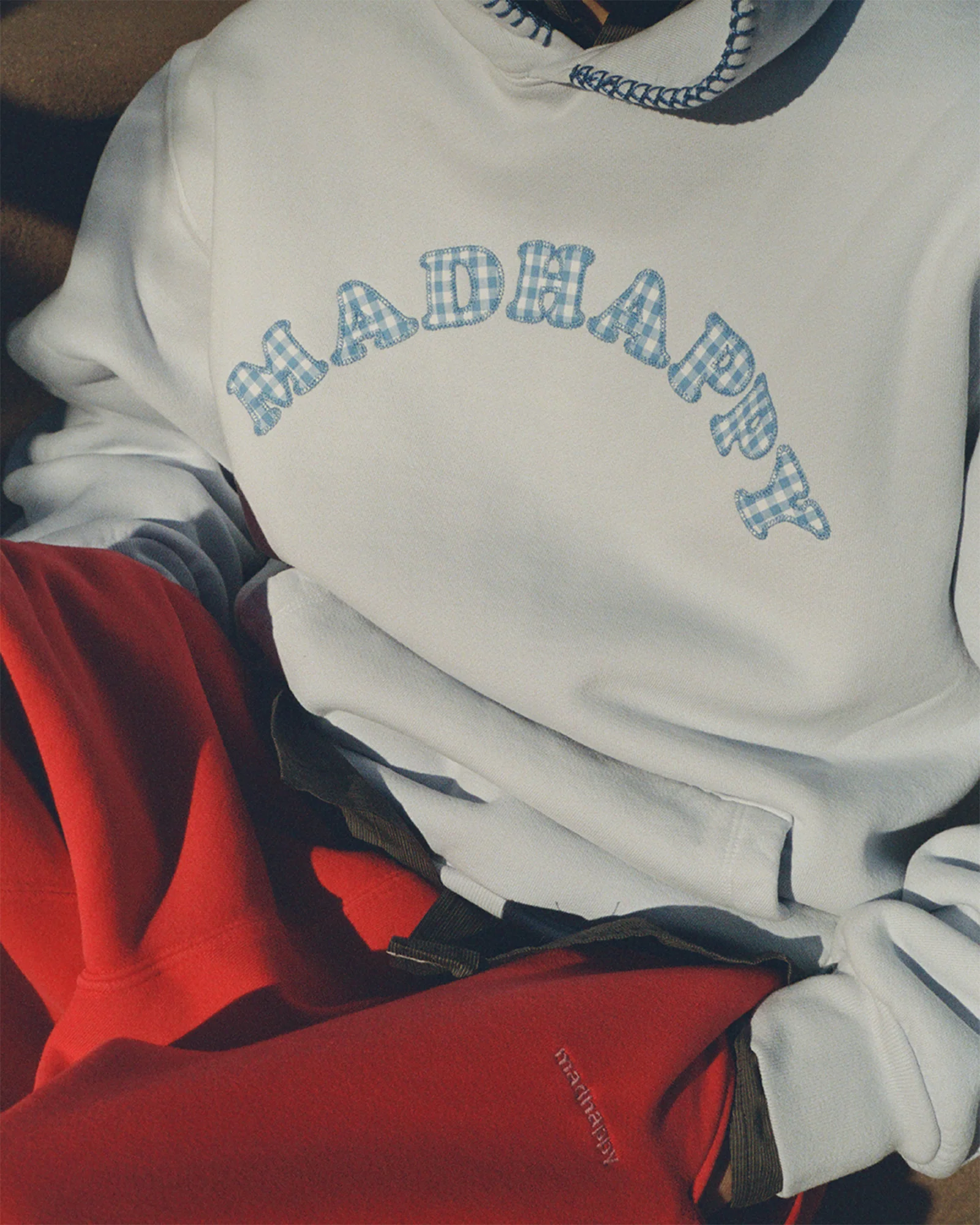 Gingham Cooper Fleece Hoodie - Image 2